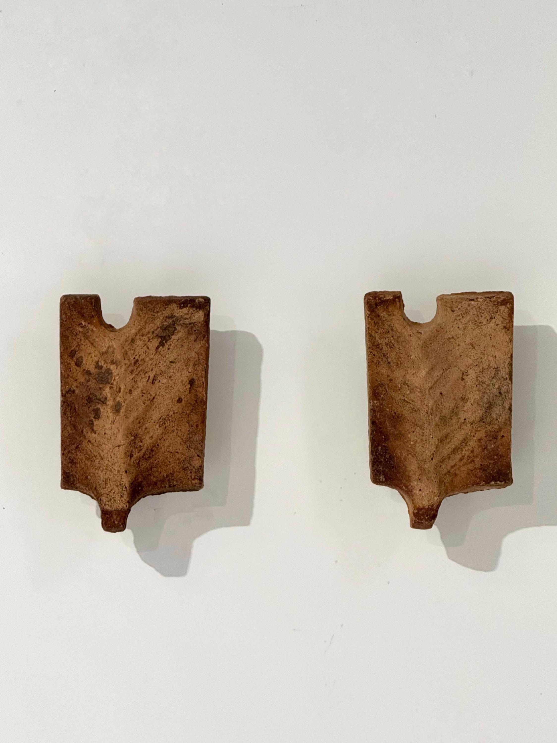 Georges Jouve « Palmes » Terracotta 1960 Wall Sconces