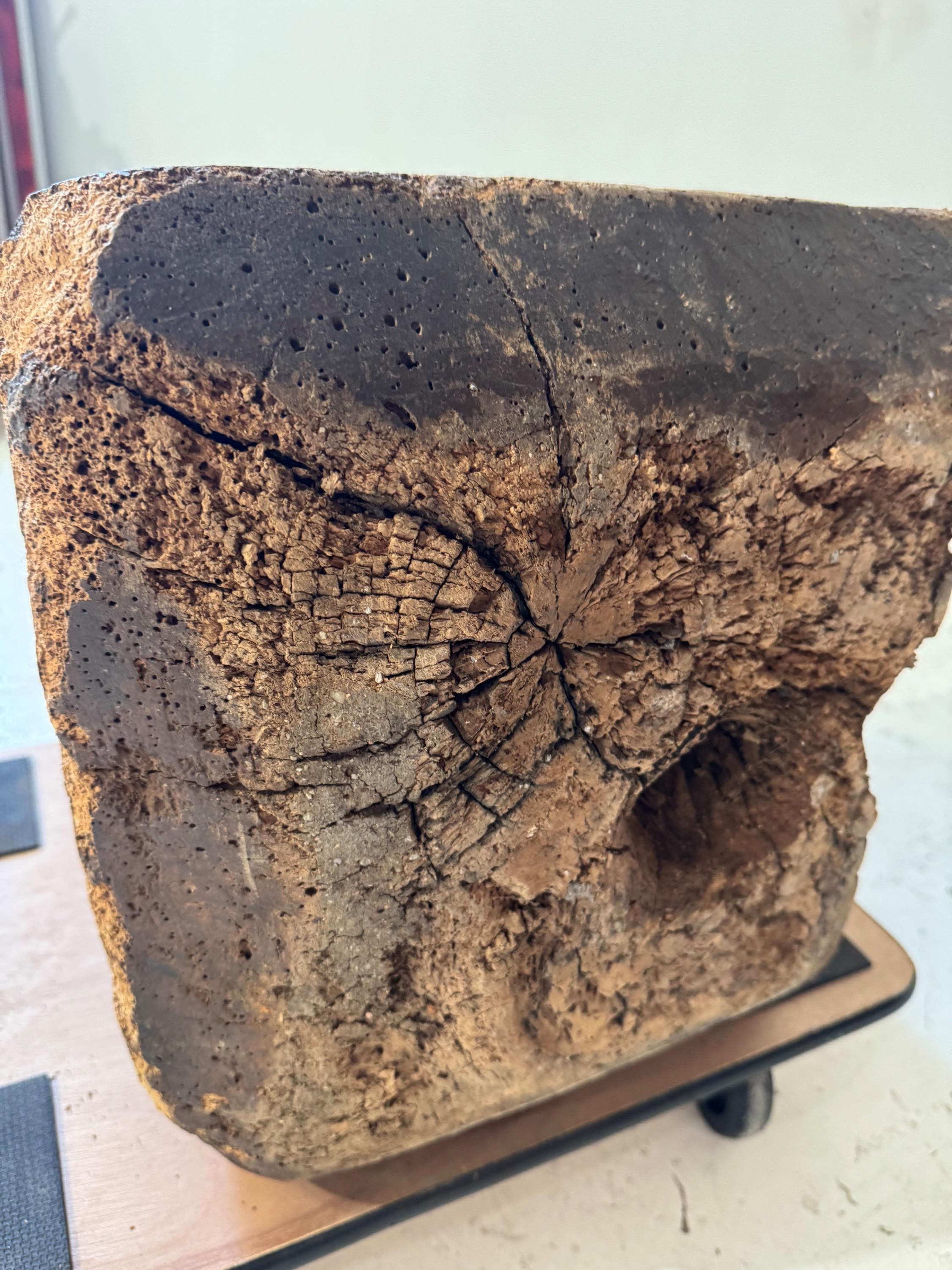 Like a Totem …  Big 17th Century French Oak Screw  With Nice Time Patina Dim= 199 x 36 x 38 cm