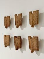 Rare Set of 6 « Palme » Terracotta designed by Georges Jouve